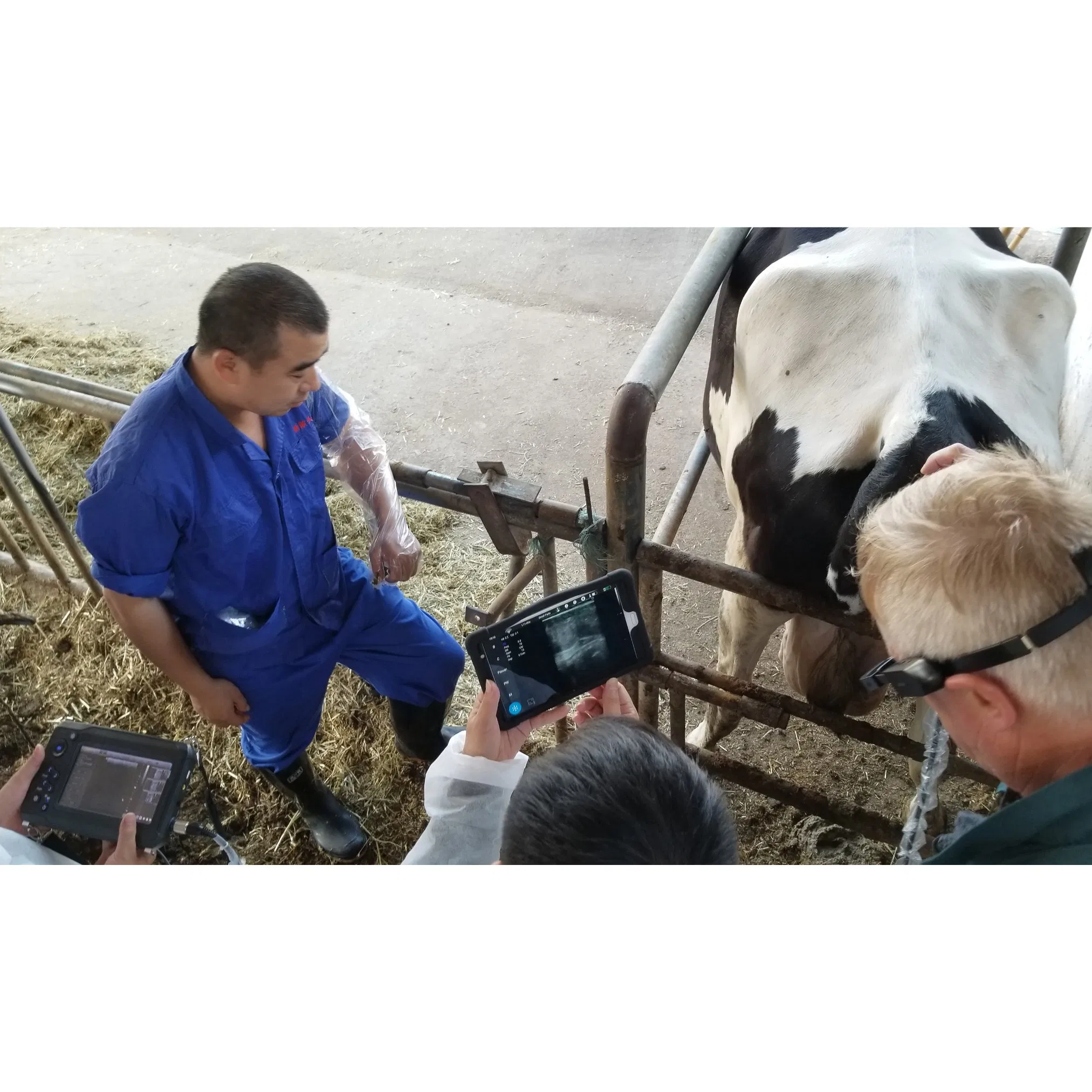 in-S9 Vet Machine Pregnancy Veterinary Portable Ultrasound Scanner for Pet Sheep Cow-5