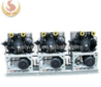 Durable Chemical Pump for Dilute H2so4, HCl, and Hno3-12