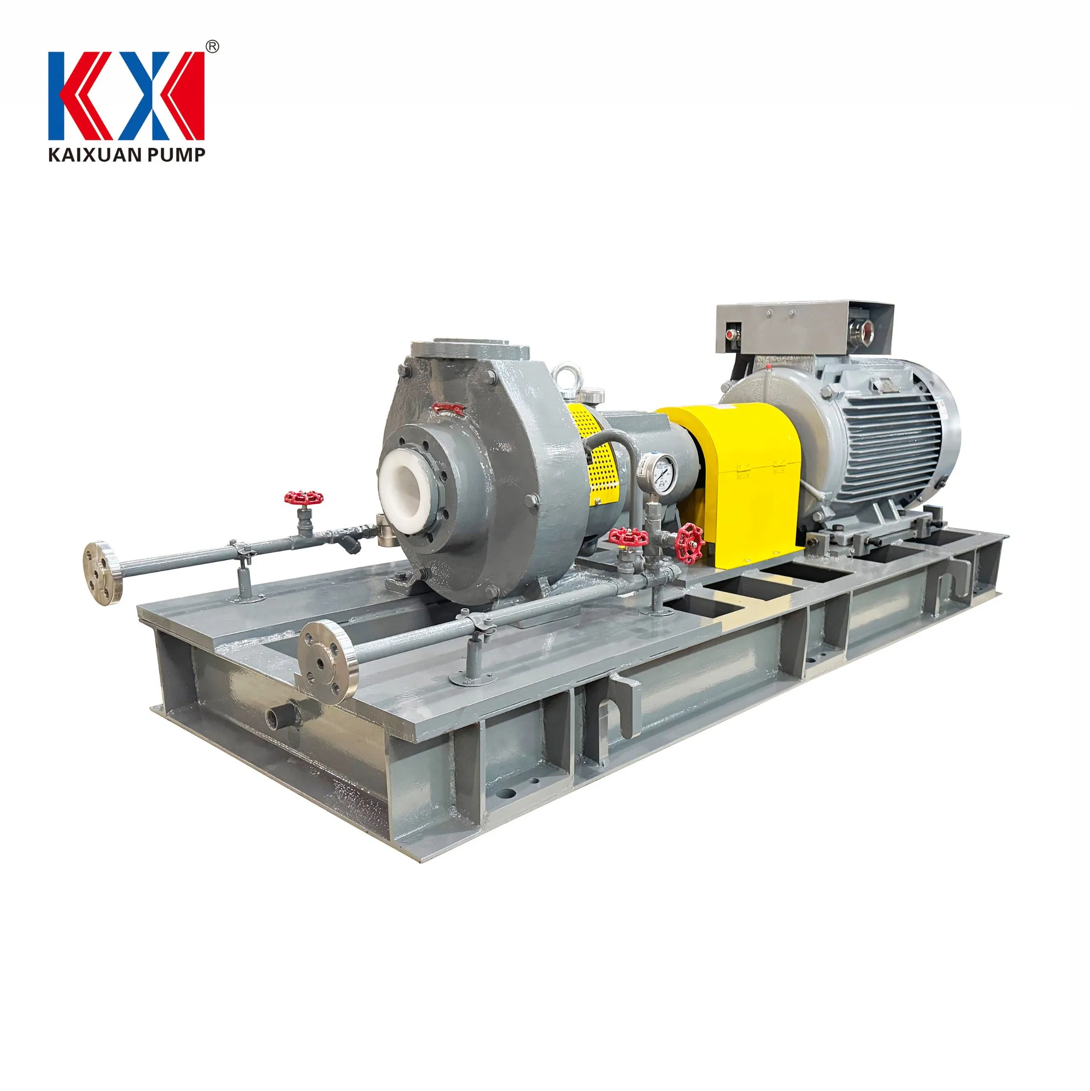 Durable Chemical Pump for Dilute H2so4, HCl, and Hno3-13